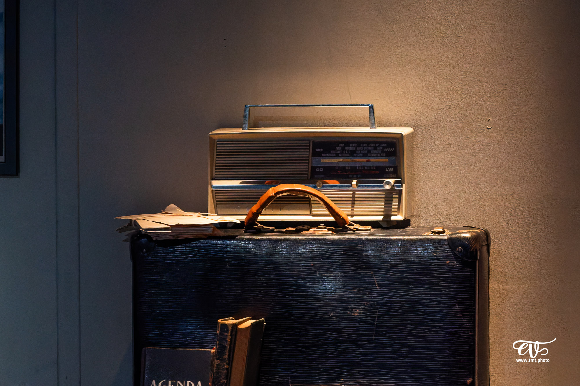 LA DISPARITION DE JOSEF MENGELE (CIE L'IDEE DU NORD)